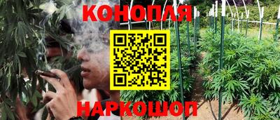 стаф Бугуруслан
