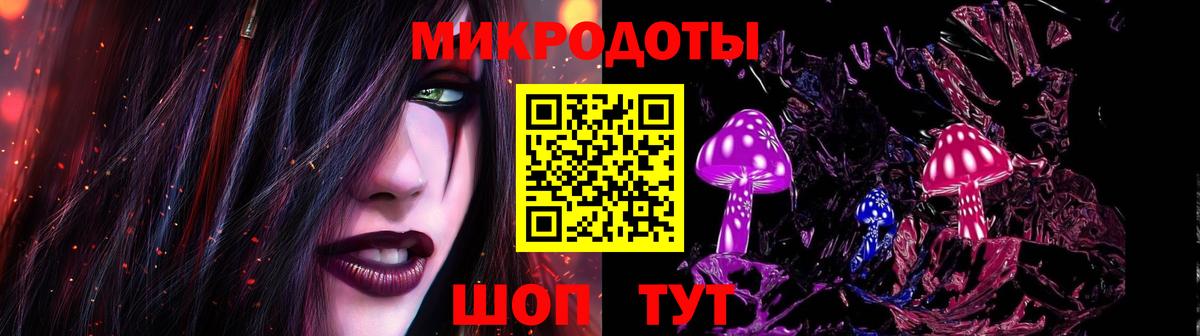 Псилоцибиновые грибы Cubensis  Вход с VPN  Сердобск 